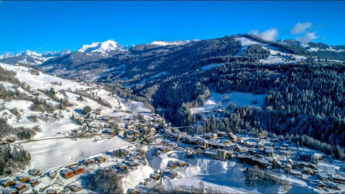 Апартаменти Les Portes Du Mont Blanc Флюме Екстер'єр фото